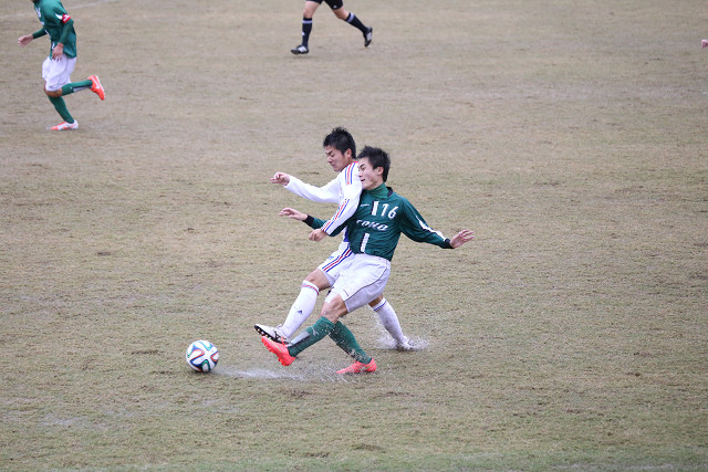 201411291_06.jpg